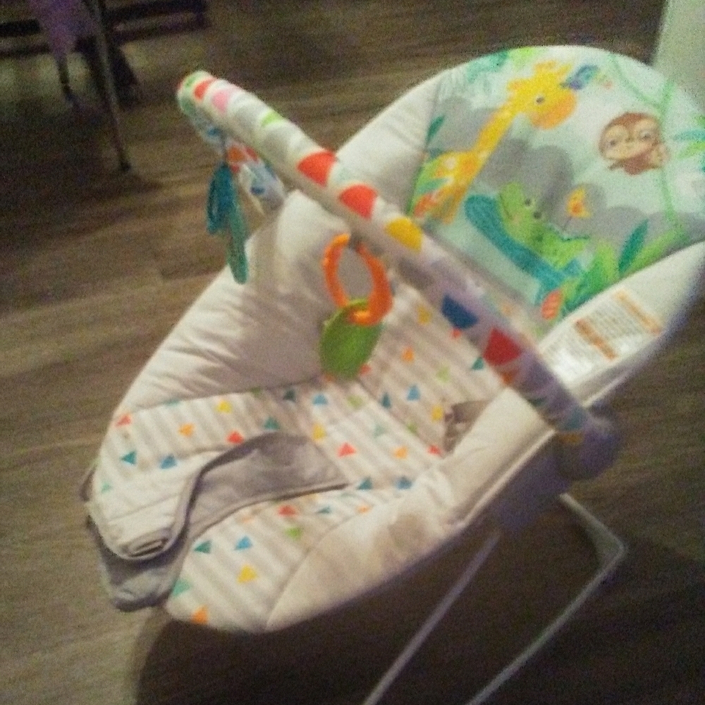 Safari Fun Vibrating Bouncer